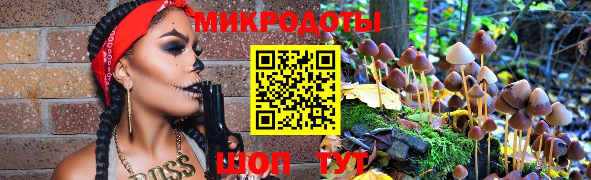 где найти   Вход с VPN  Полевской  Галлюциногенные грибы Cubensis 